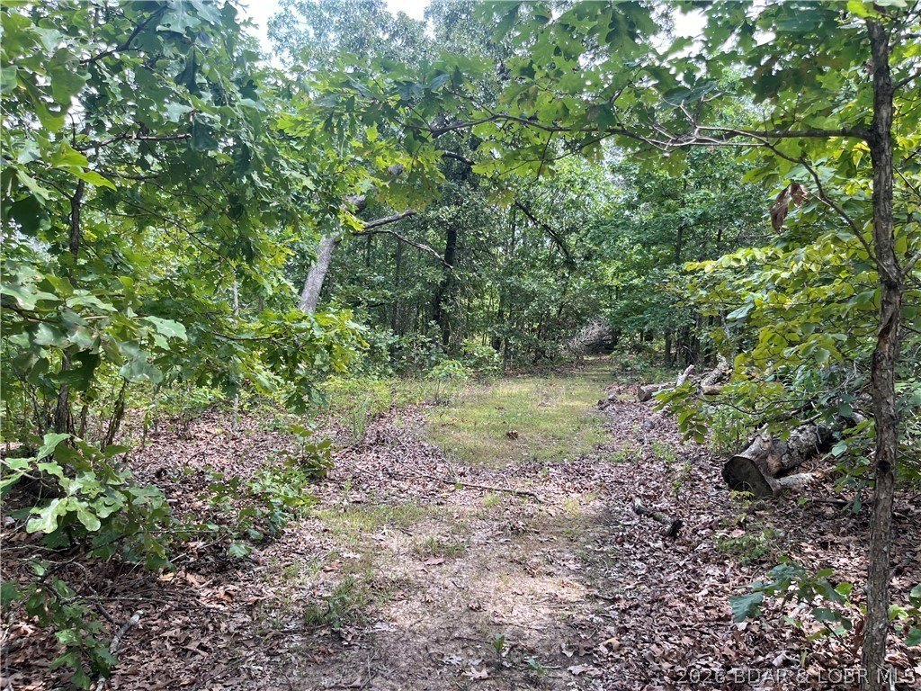 Picture 31