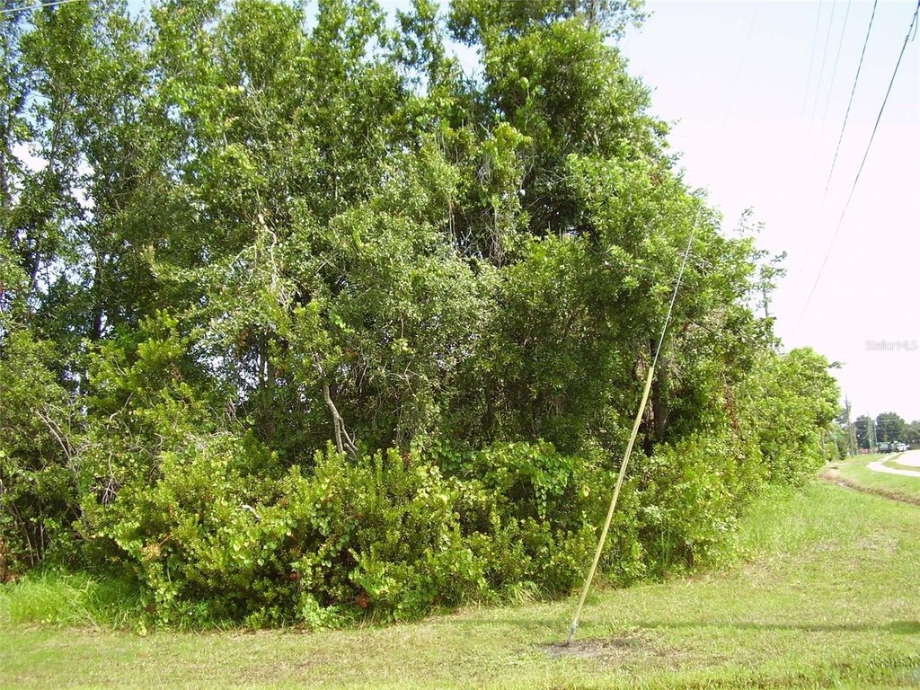 Picture 4