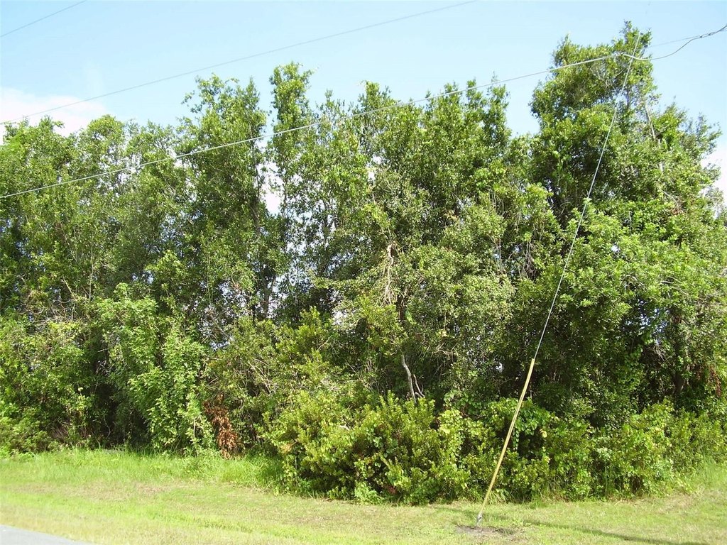 Picture 5