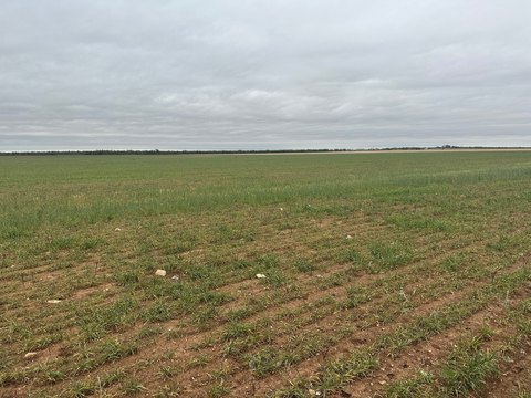Fully Cleared Land Tract
