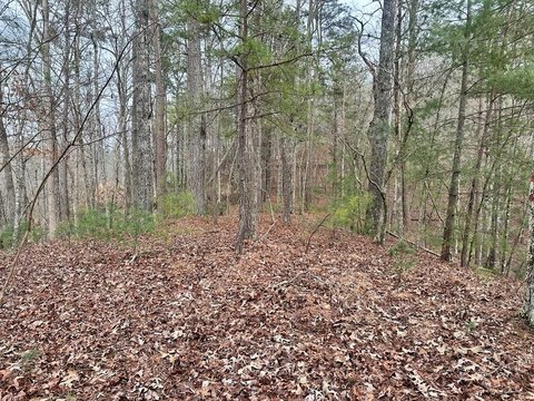 Ellijay Vacant Lot Near Lake
