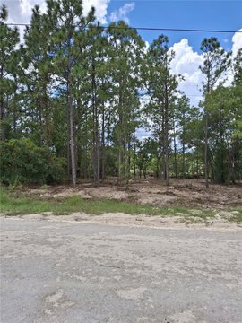 Land, WEEKI WACHEE, FL