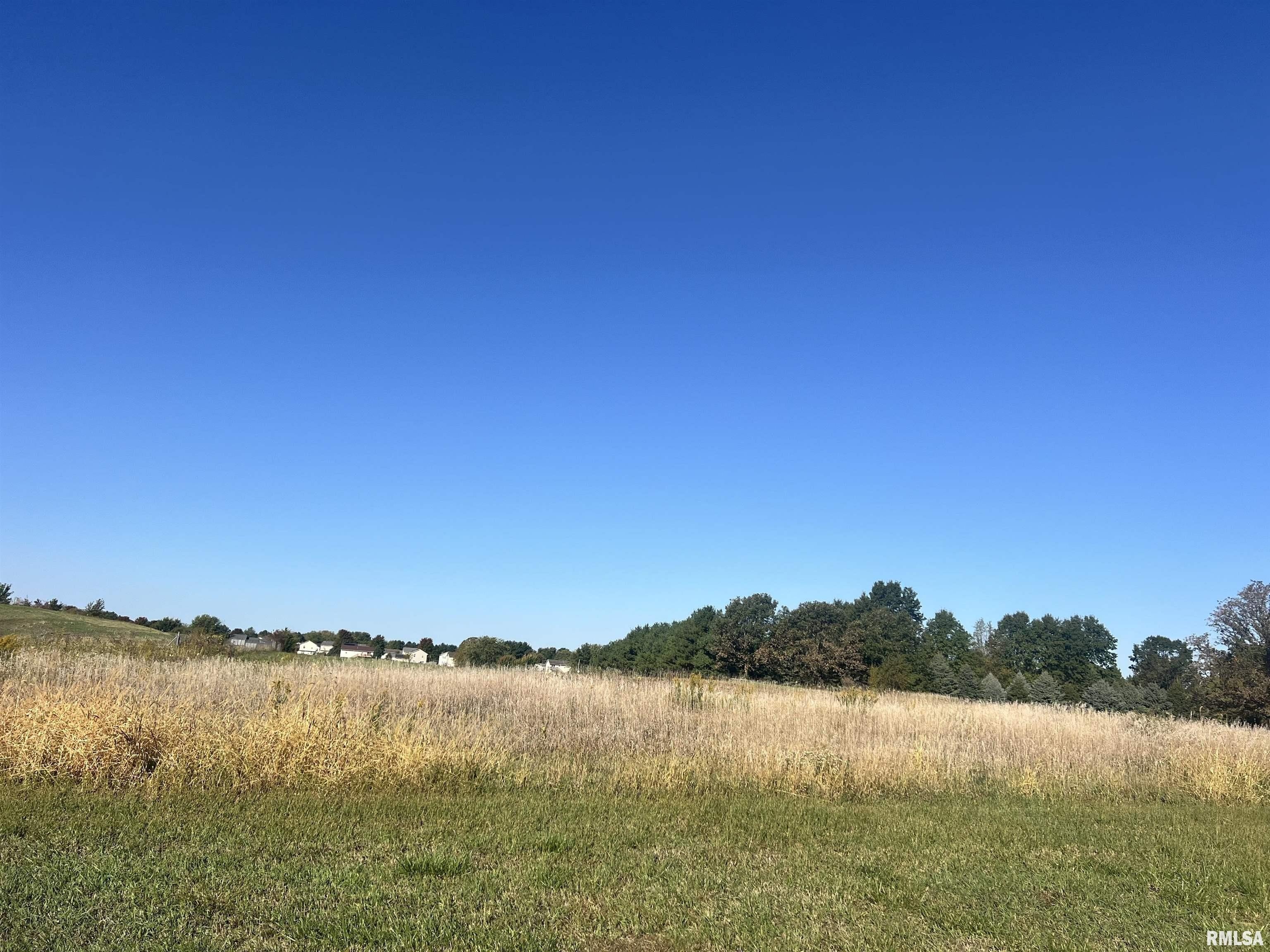 Residential Land in Metamora Fields