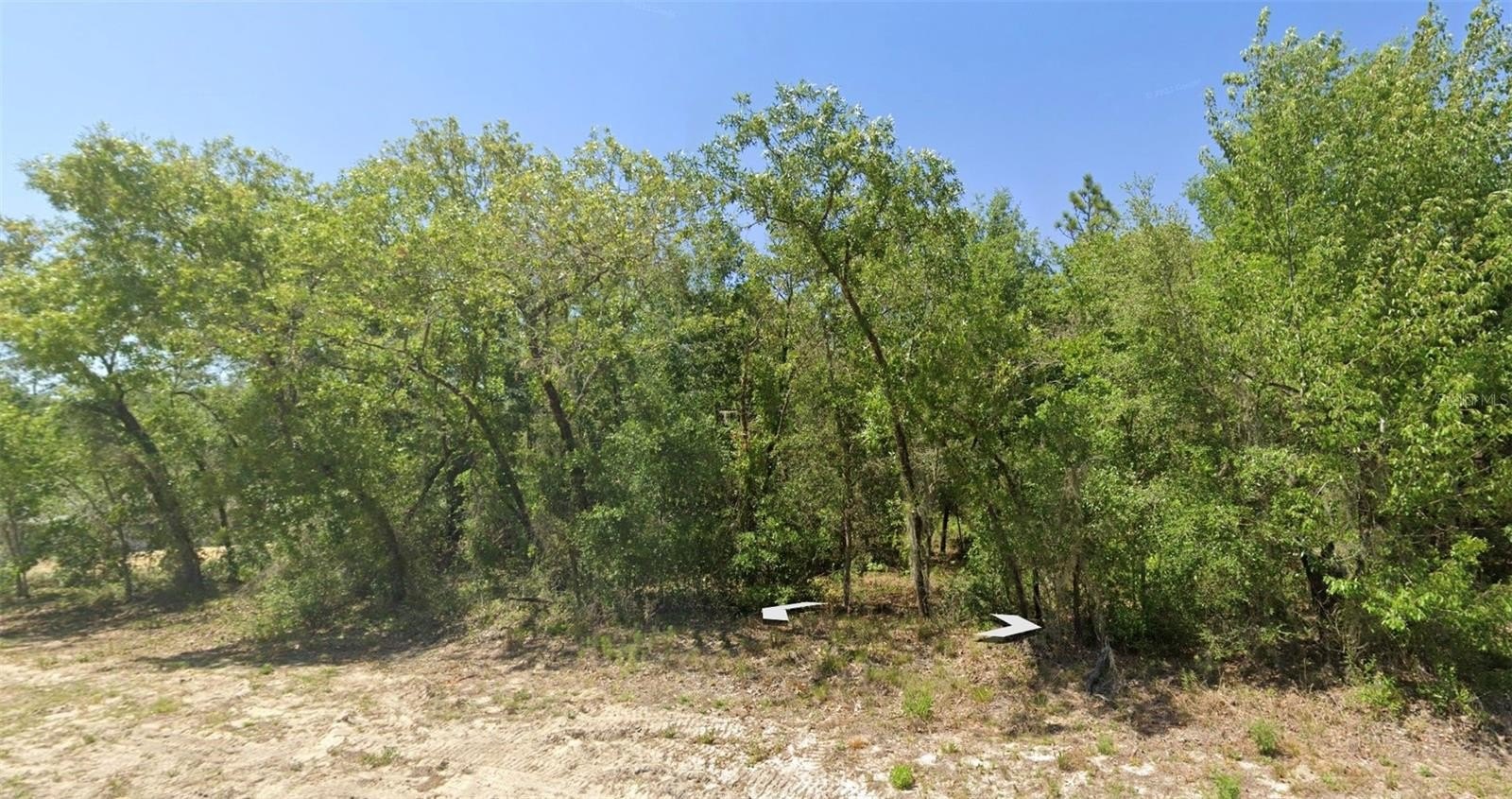 Vacant Lot in Rainbow Lakes