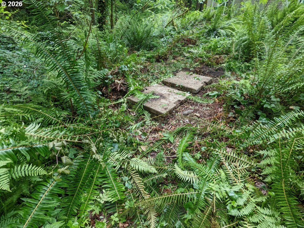 Picture 21
