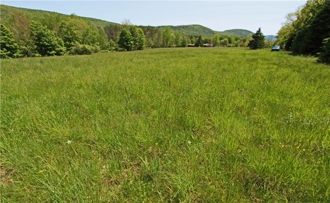 Land, Roxbury, NY