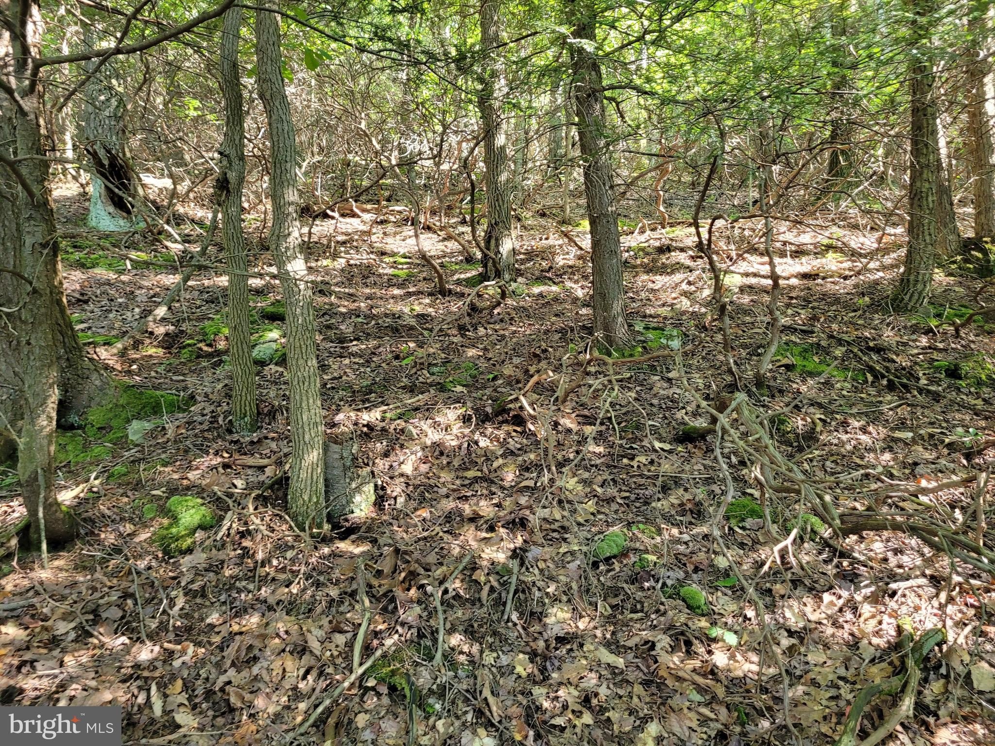 Residential Land in Claysburg, PA
