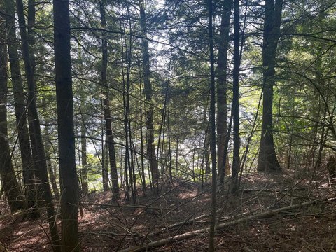 Waterfront Lot on Little Archibald