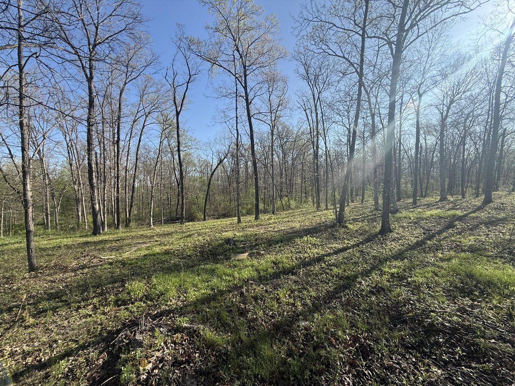 Picture 19