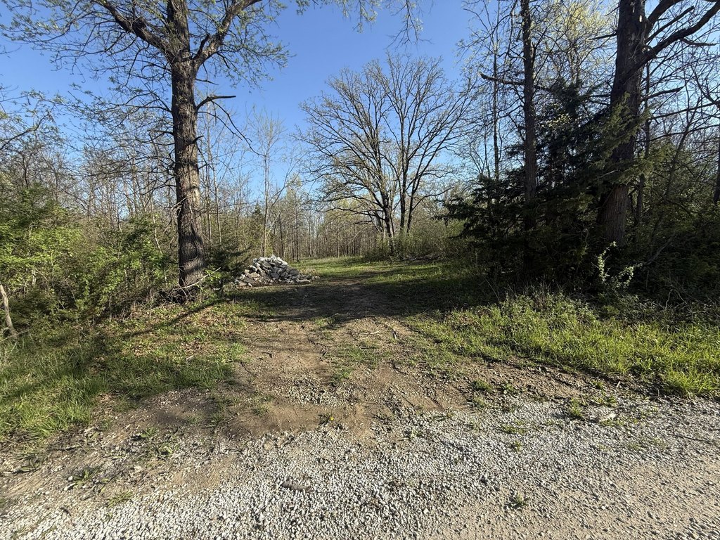 Picture 15