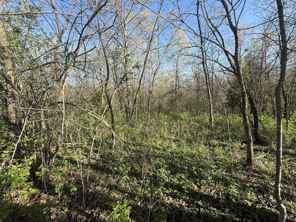 Picture 21