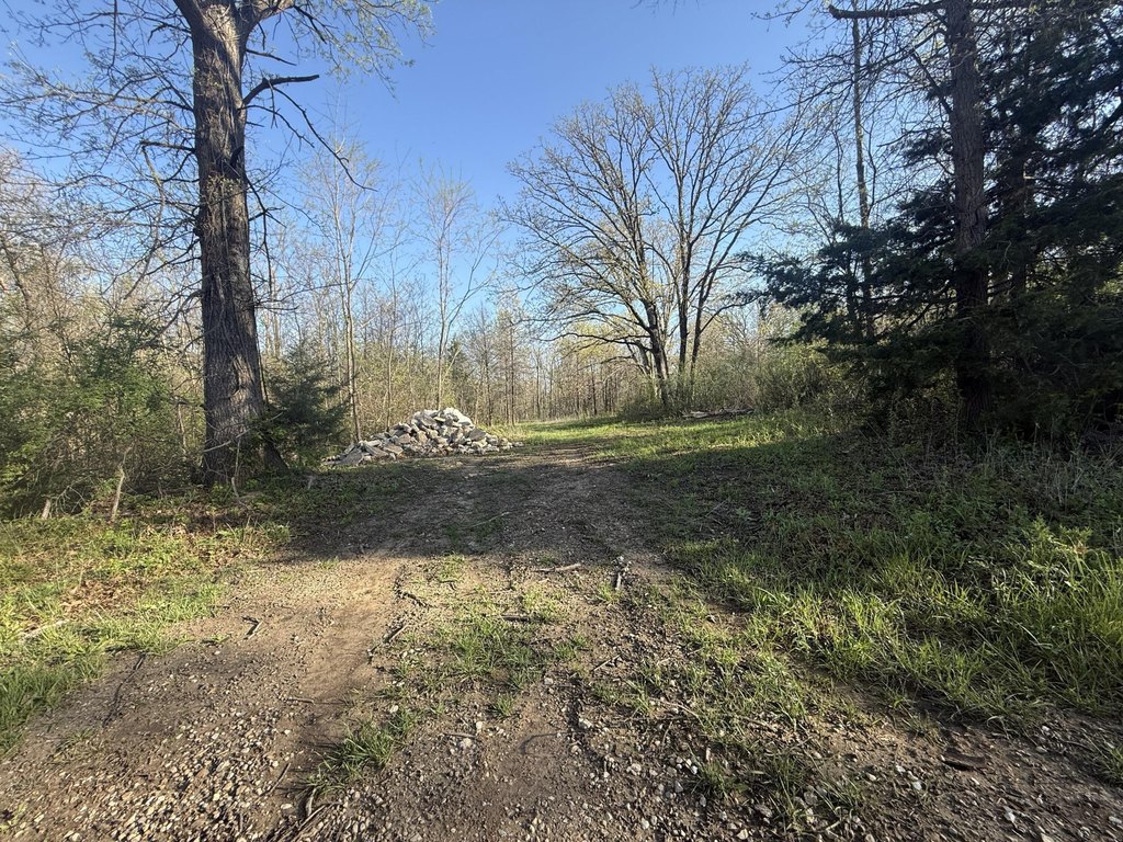 Picture 14