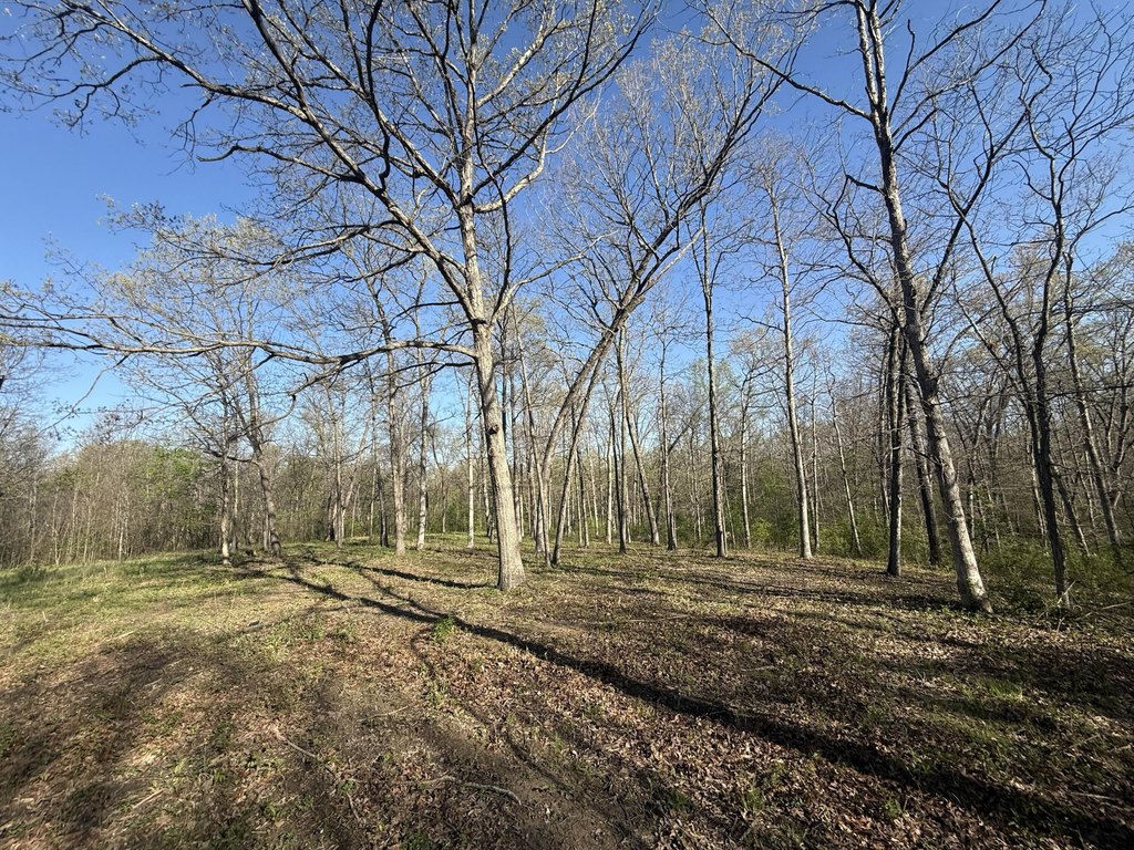 Picture 18