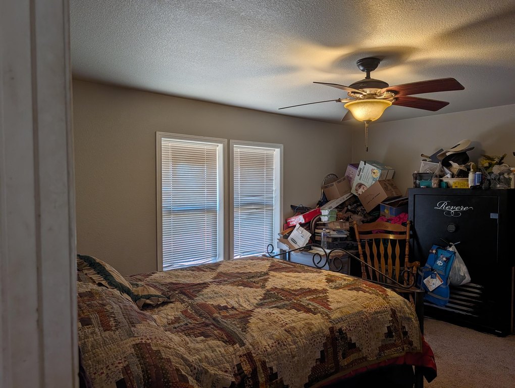 Picture 24