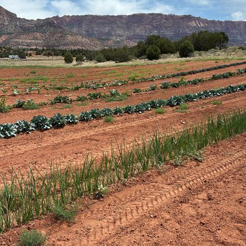 LAND - Outside Washington County, UT