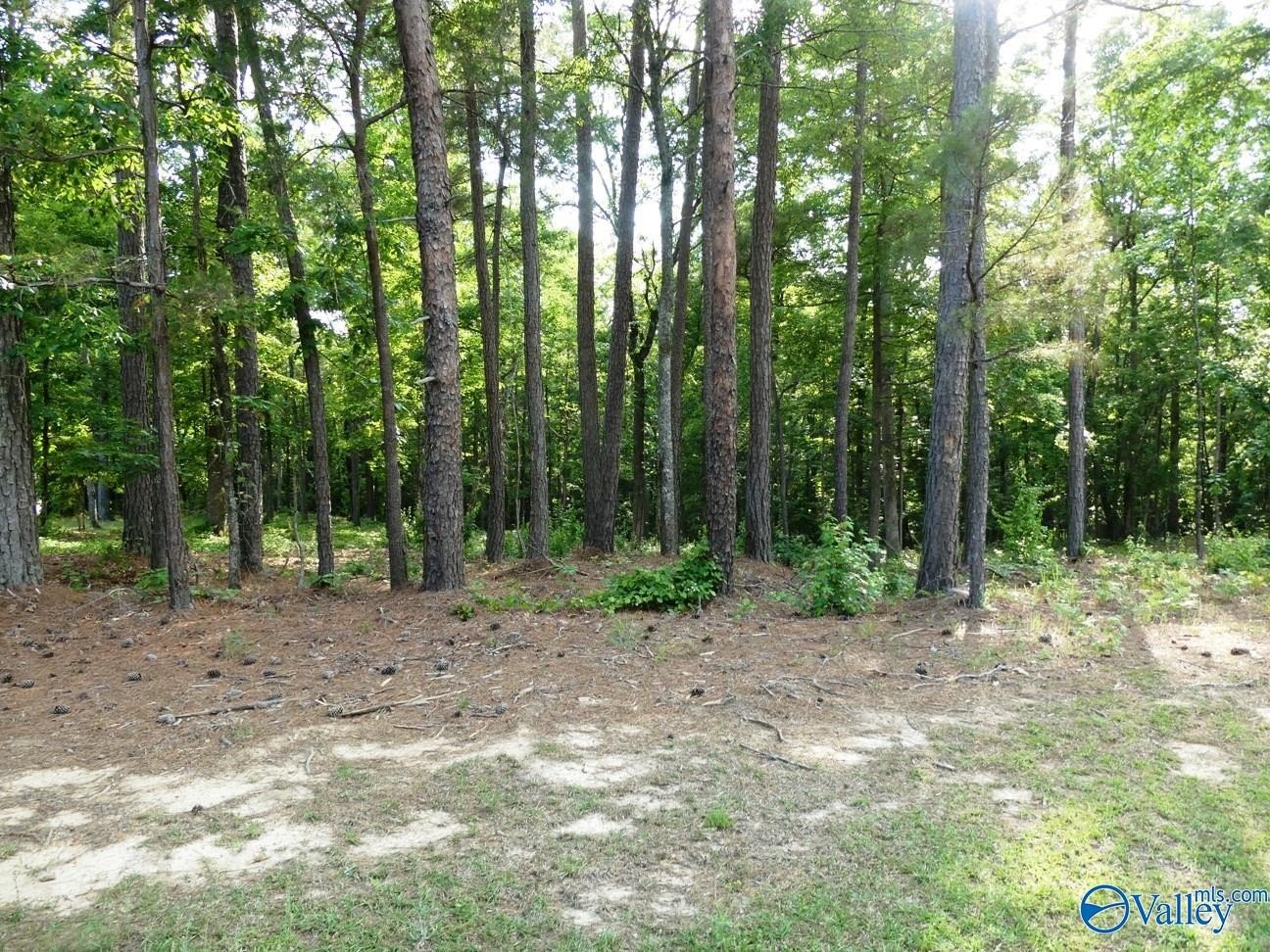 Residential Lot Near Lewis Smith