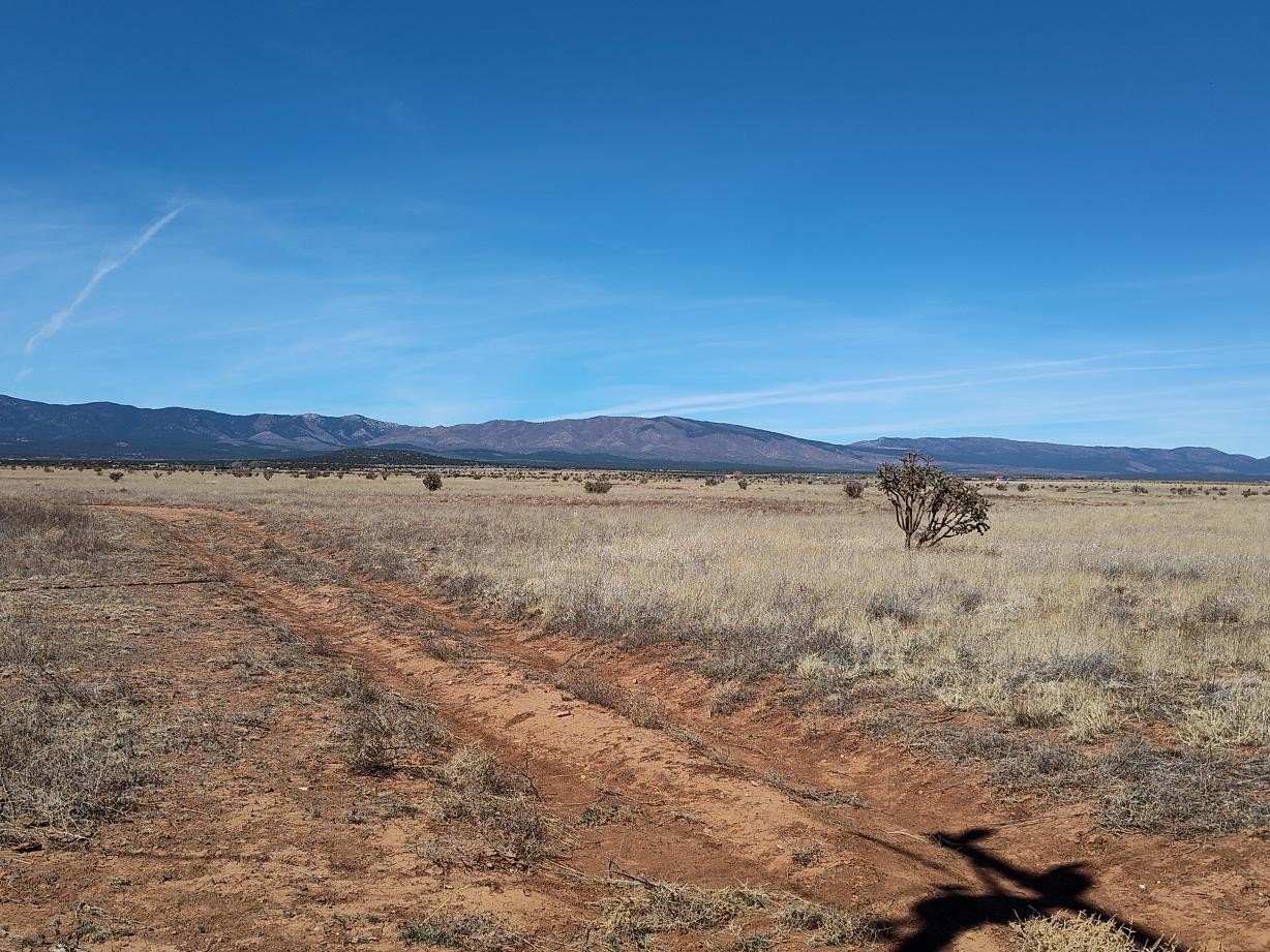 160 Acres in Mountainair, NM