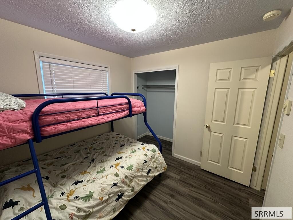 Picture 19