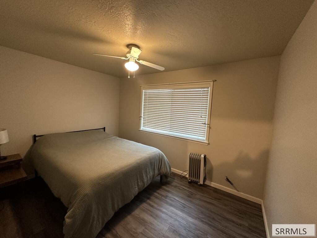 Picture 17