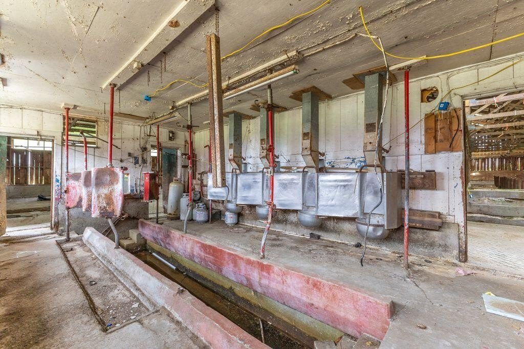 Picture 40