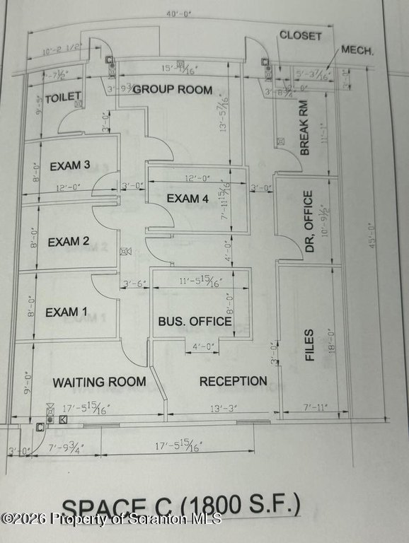 Picture 5