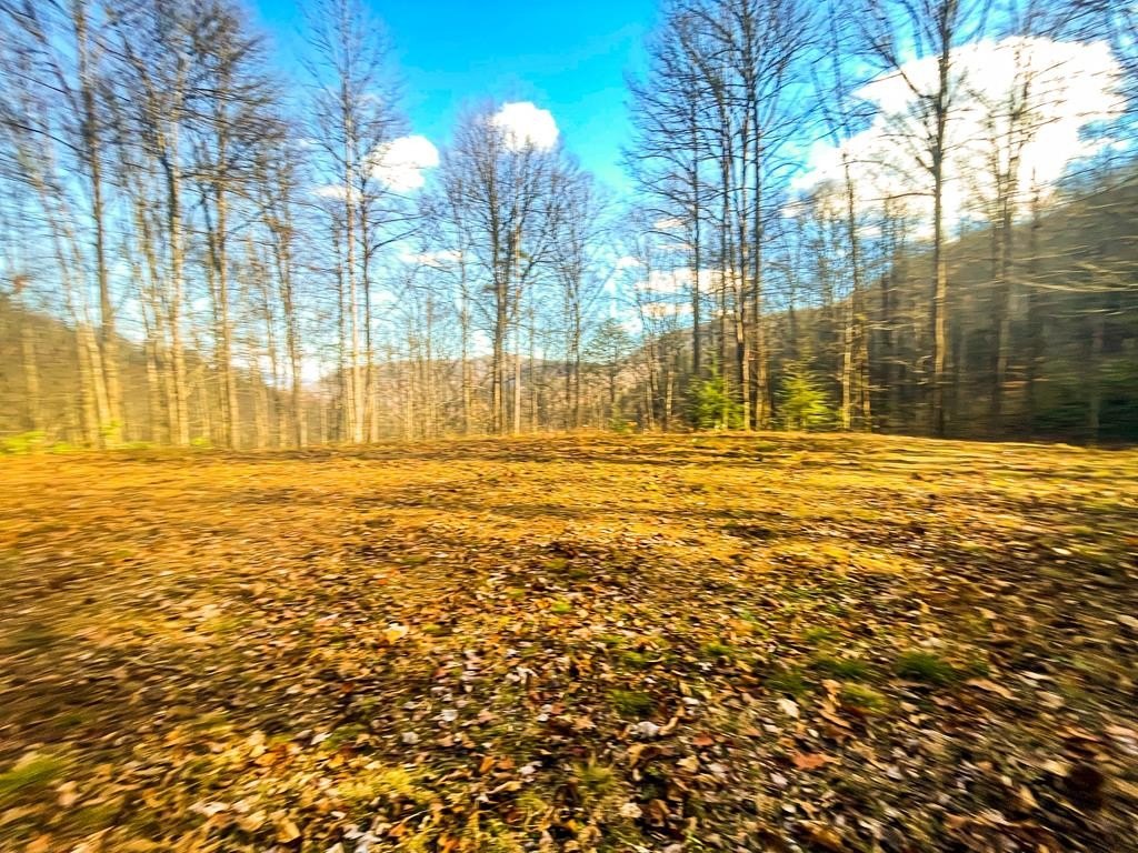 Land with Installed Septic System