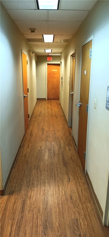 Picture 16
