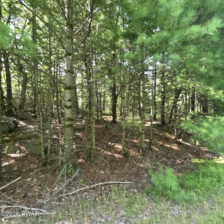 Picture 17