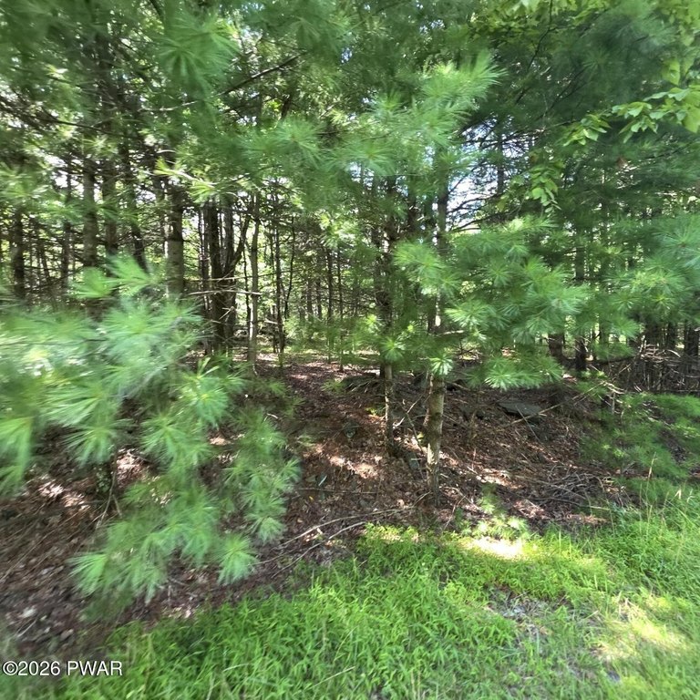 Picture 19