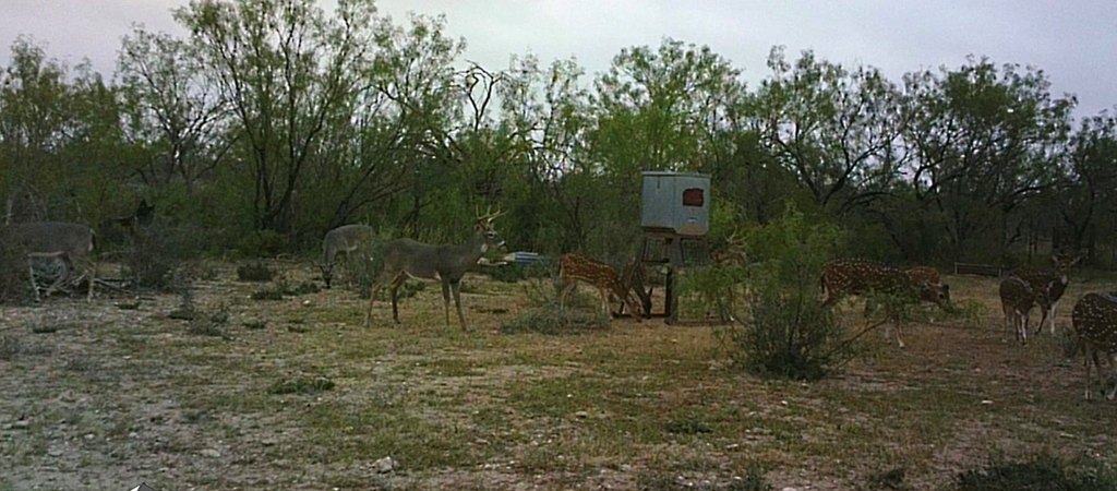 Picture 5