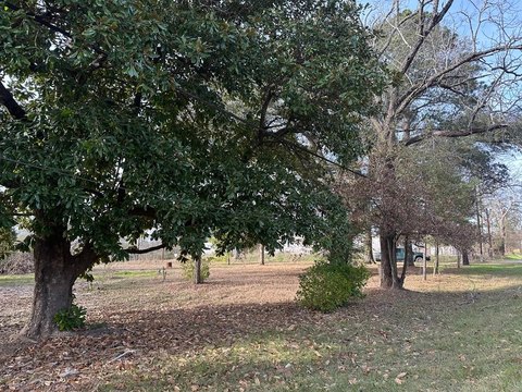Unrestricted Lot on Highway 287