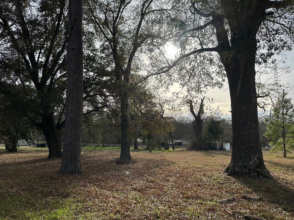 Picture 6