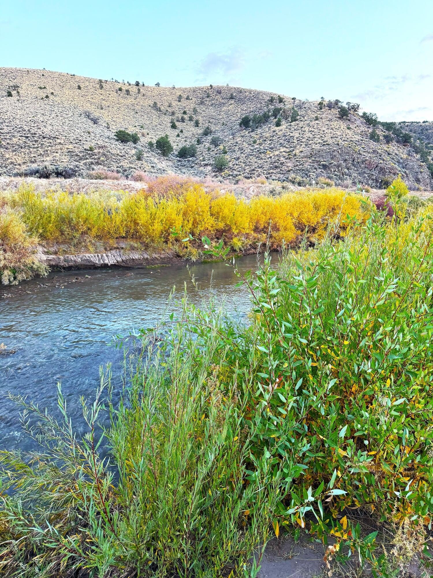 Panguitch Land with River View