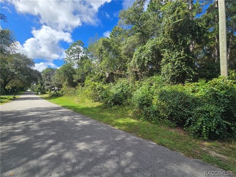 Land, Inverness, FL