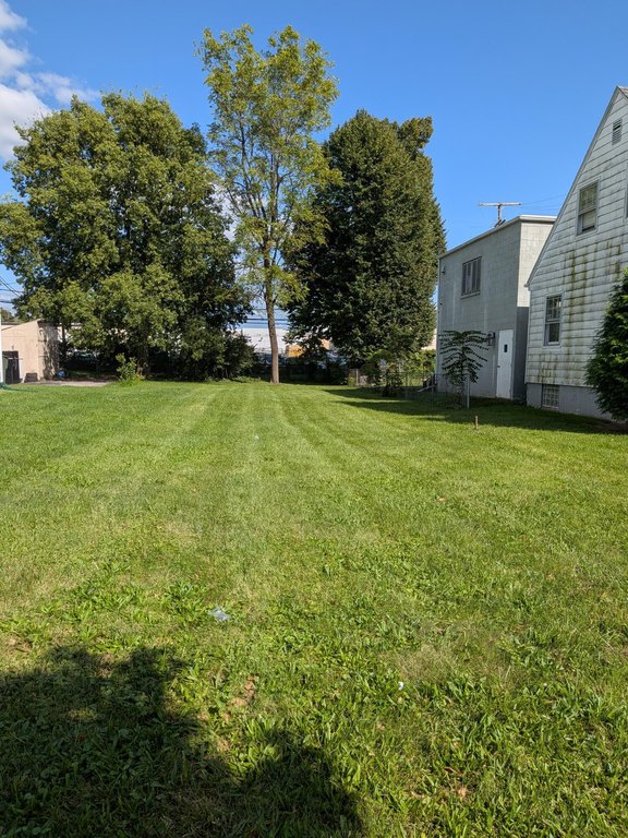Picture 3