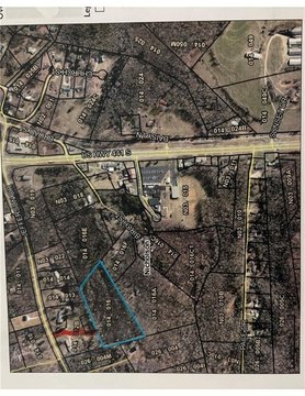 Nicholson, GA Level Land