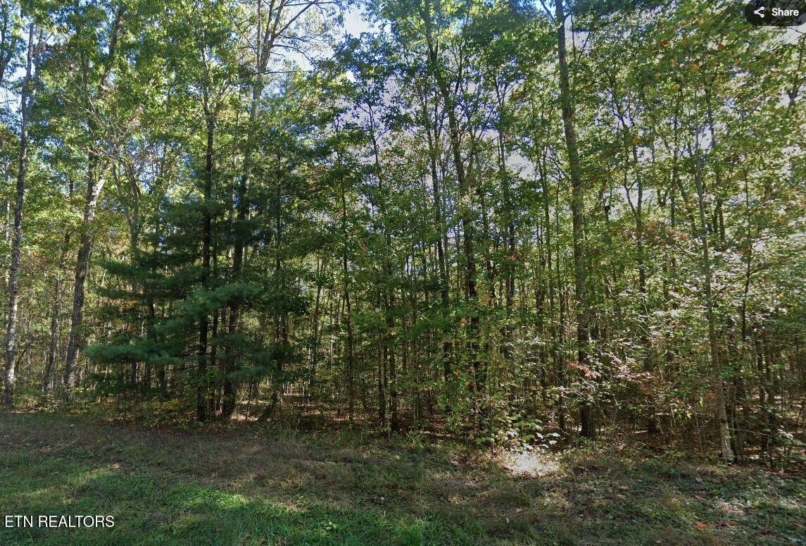 LAND - Jamestown, TN