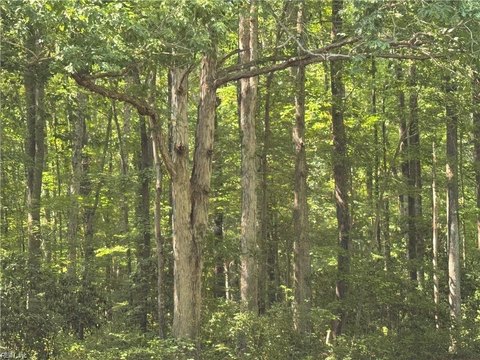 Residential Lot in Suffolk, VA