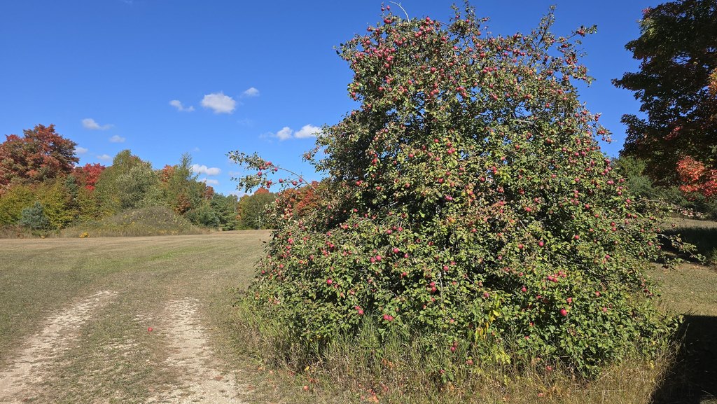 Picture 20