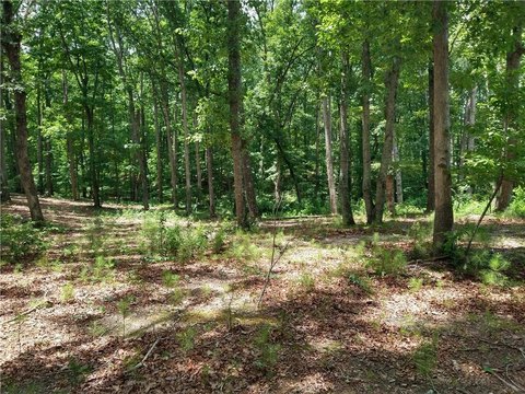 East Cobb Land Opportunity