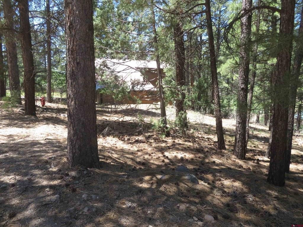 Picture 16