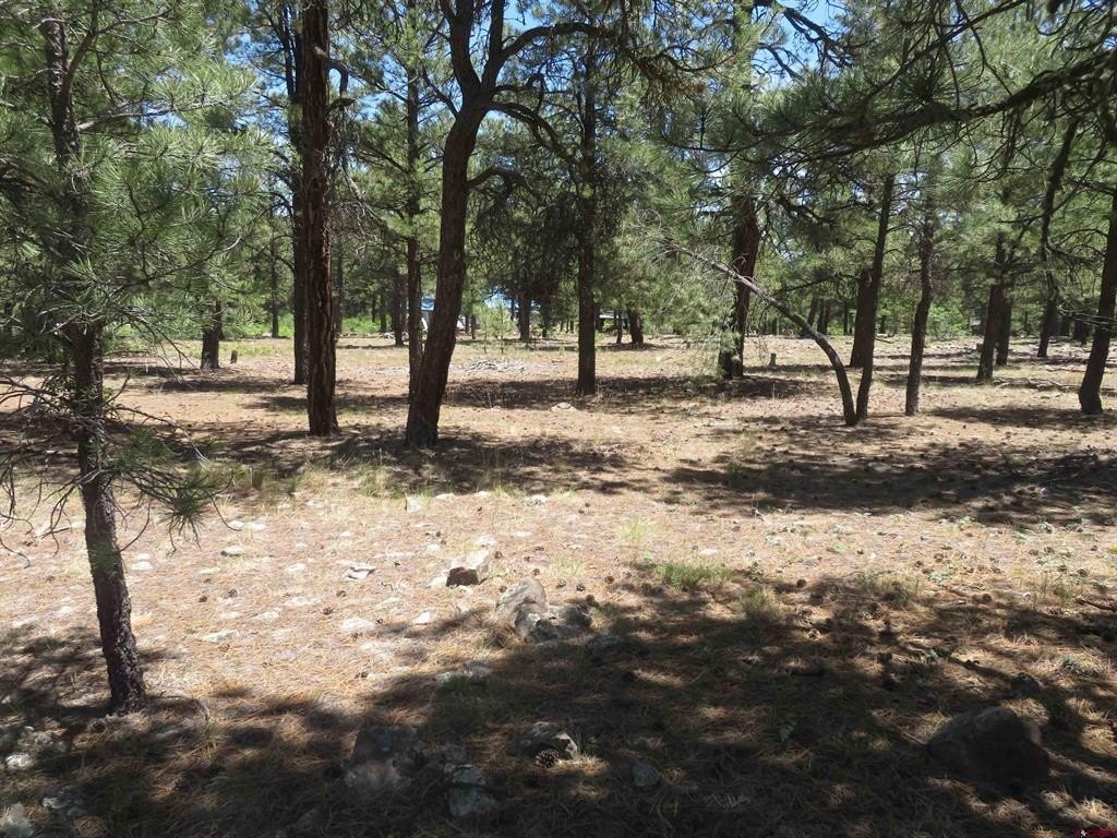 Picture 10