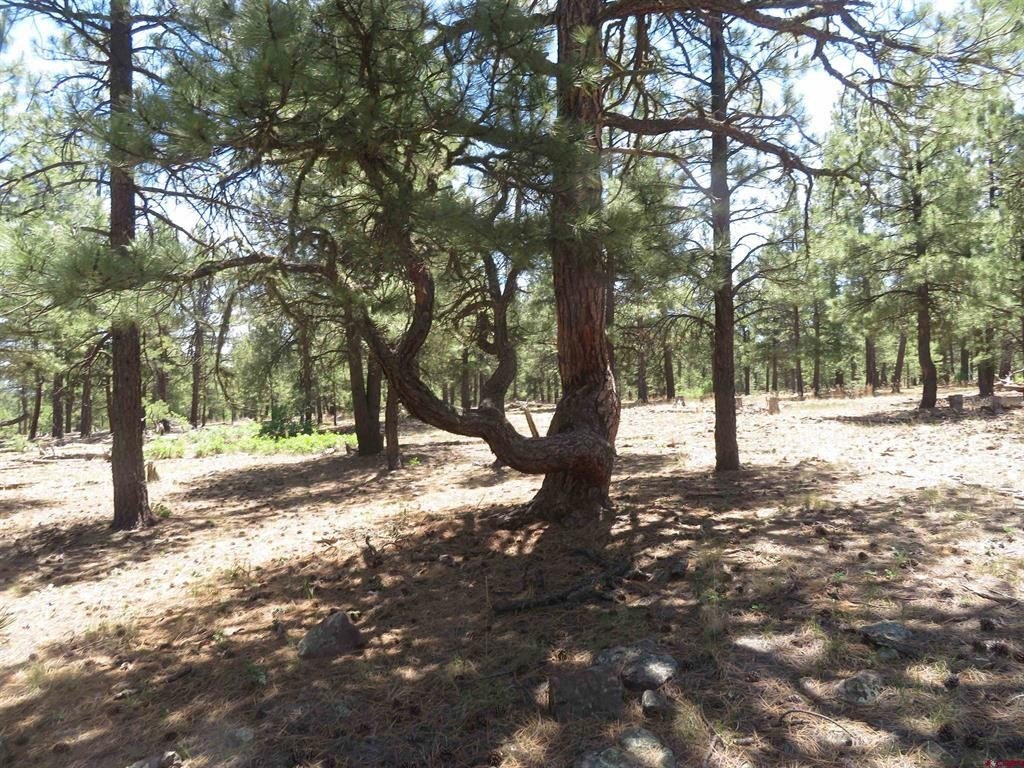 Picture 9