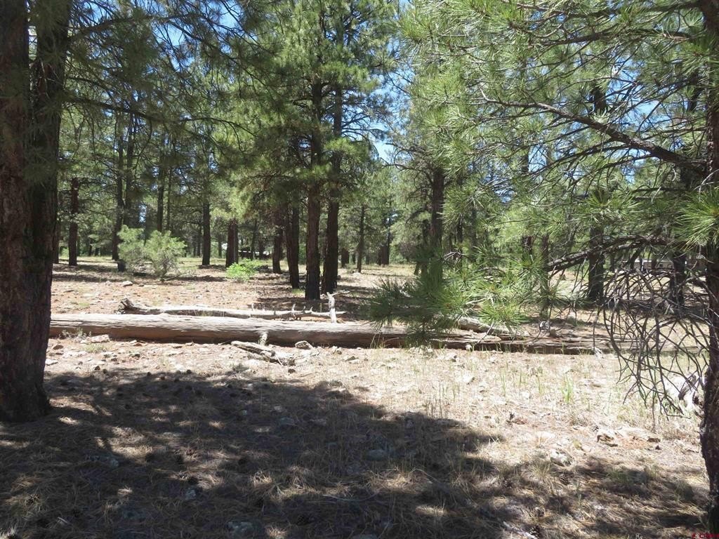 Picture 13