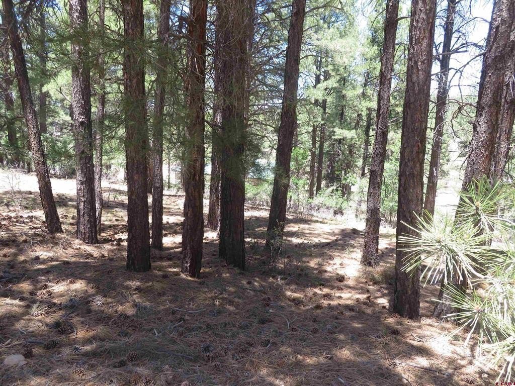 Picture 15