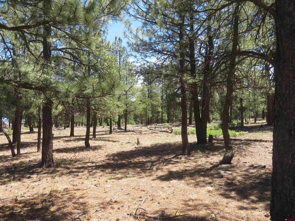 Picture 12