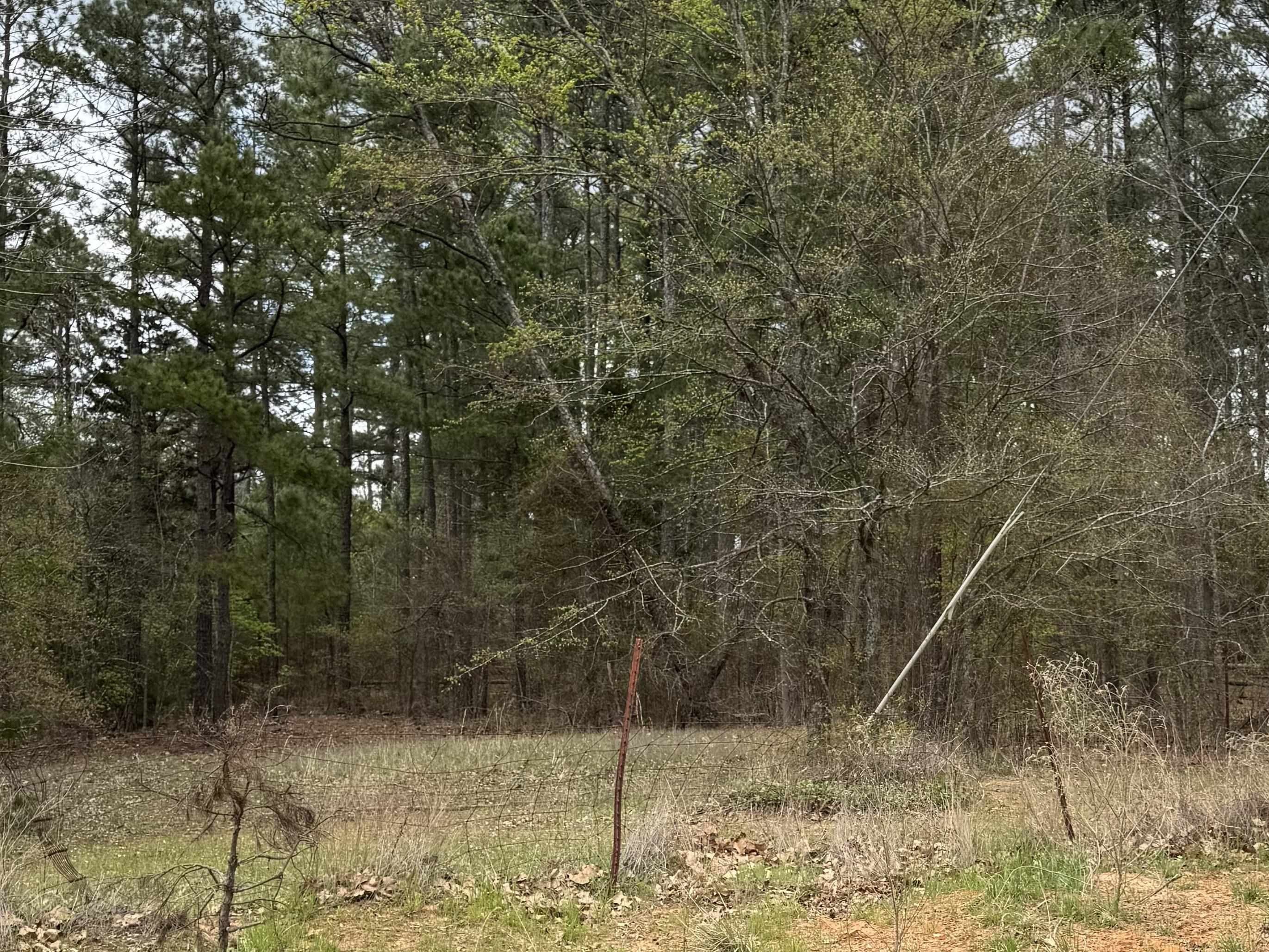 Unrestricted Land in Hallsville, TX