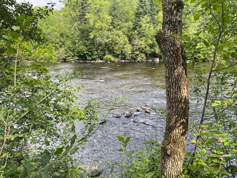 Land, Fifield, WI