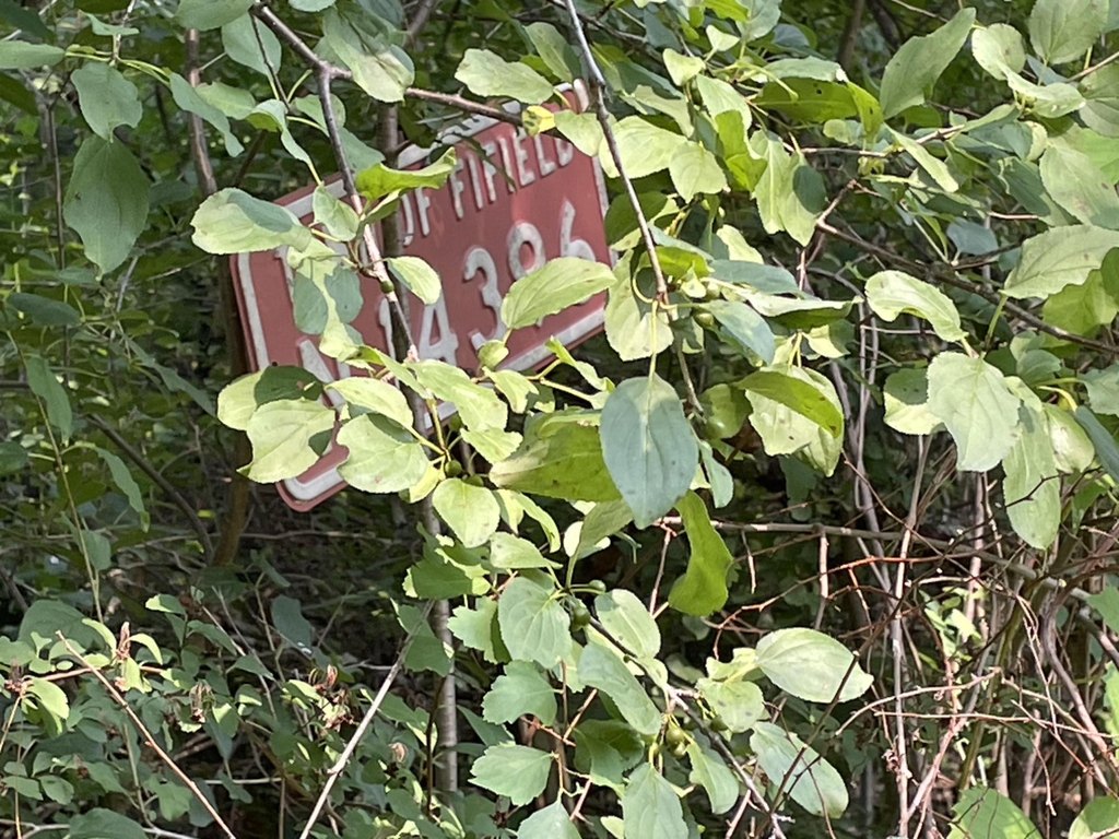 Picture 19