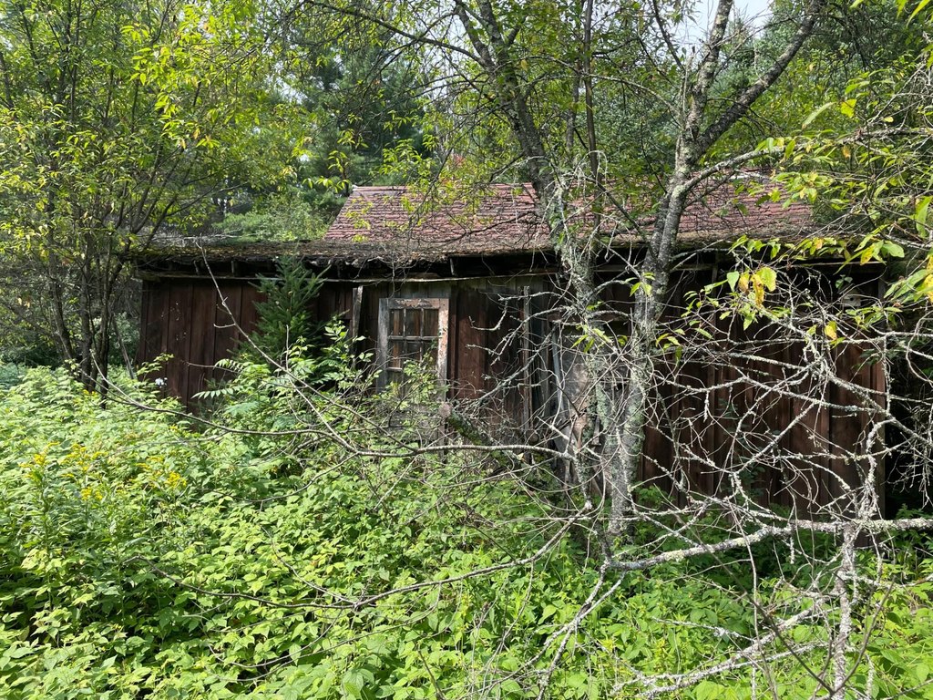 Picture 16